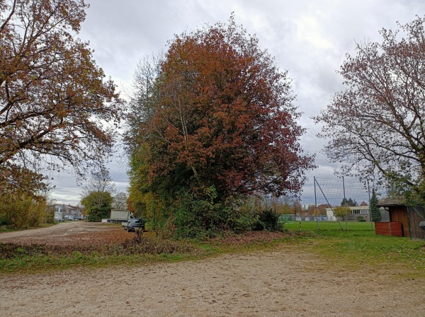 Sportplatz Mitterfelden - Ainring-Mitterfelden