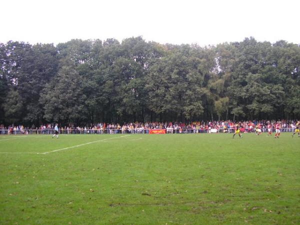 Volksbank-Stadion im Volksgarten - Dortmund-Mengede