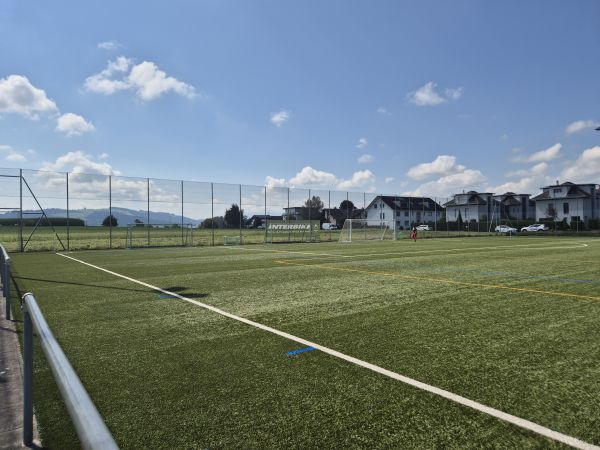 Sportplatz Ehret Kunstrasenplatz - Hünenberg
