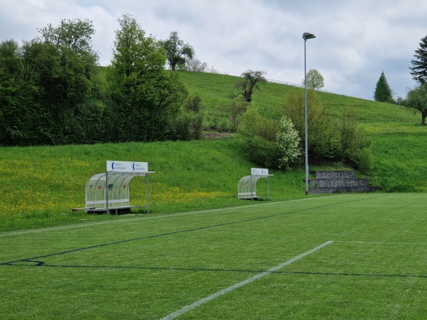 Sportplatz Niderwis Platz 2 - Elsau