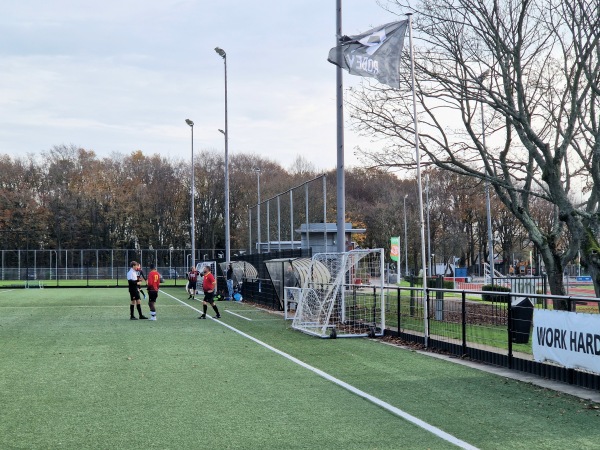 Sportpark De Bosdreef veld 2 - Rotterdam