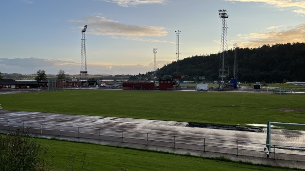 Moan gress - Levanger