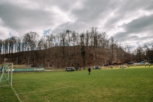 Sportplatz Plexgrund - Lichtentanne-Schönfels