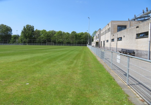 Sportpark Middelmors veld 2 - Rijnsburg