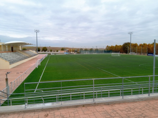 Complejo Deportivo Vicente Temprado - Humanes de Madrid, MD