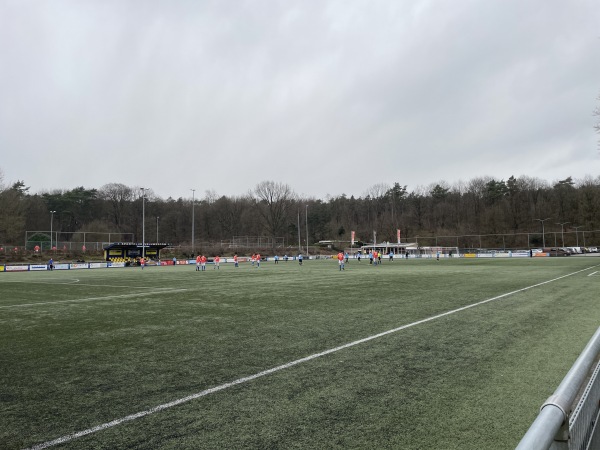 Sportpark De Pinkenberg veld 3-DVOV / Veluwezoom - Rozendaal