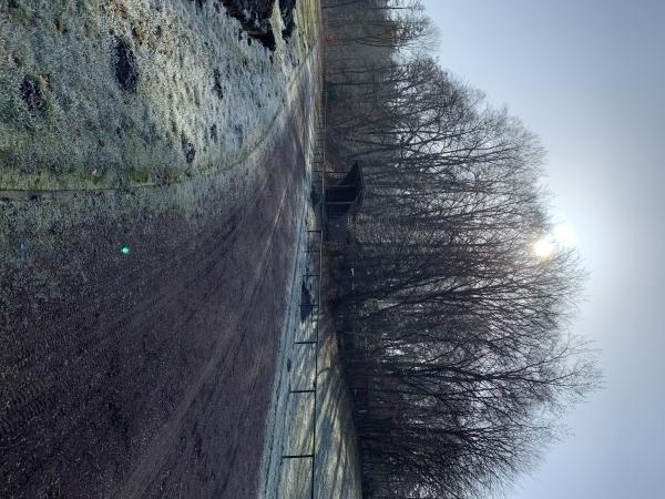 Sportplatz an der Schule - Gerdau