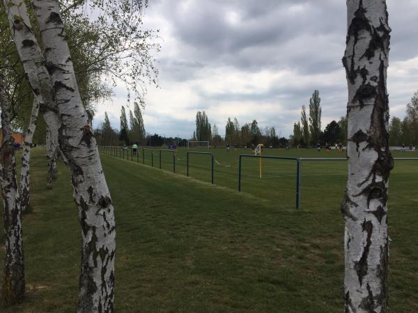 point S Reifenlehnigk Sportpark - Peitz