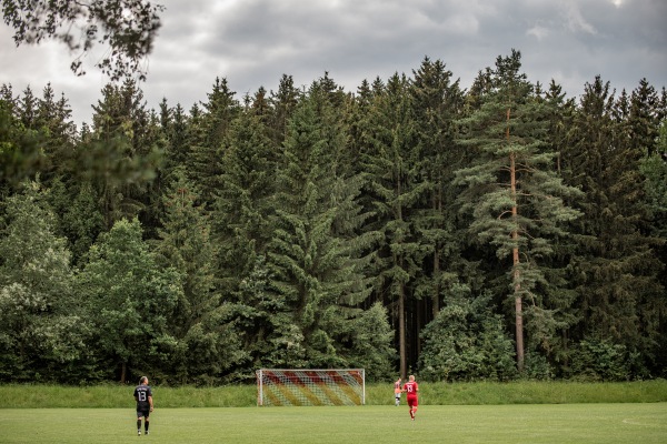 Waldsportplatz - Neuensalz-Zobes