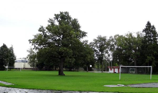 Orissaare Staadioni Tamm - Orissaare