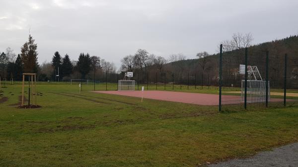Sportplatz an der Burg - Bad Berka-Tannroda
