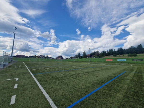 Sportplatz Beichlen Platz 2 - Wädenswil