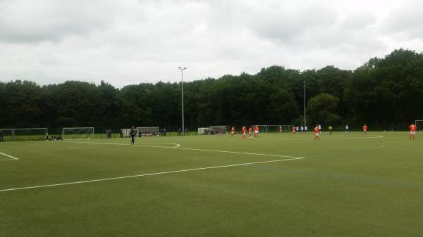 Bezirkssportanlage Burgwallstadion Platz 3 - Bremen-Blumenthal