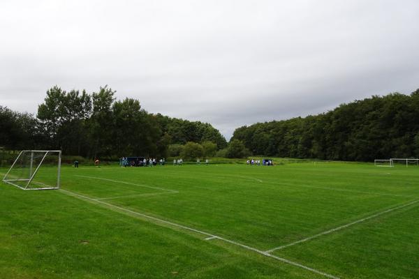 Sportplatz Zum Beerenwinkel 2 - Satow