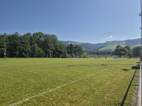Sportanlage Peterswinkel Platz 2 - Lachen SZ