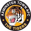 Wappen Axminster Town AFC  86564