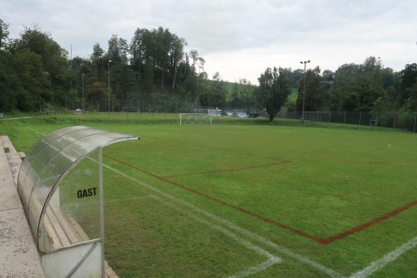 Sportplatz Dammweg - Goldach