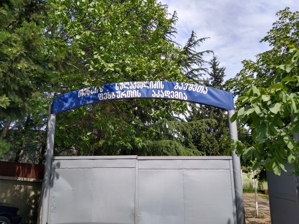 Tengiz Sulakvelidze Football Academy - Tbilisi