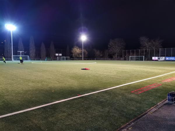 Sportanlage Carl-Diem-Straße Platz 2 - Ludwigsburg-Neckarweihingen