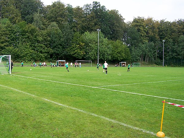 Sportplatz an der Schule - Oelixdorf