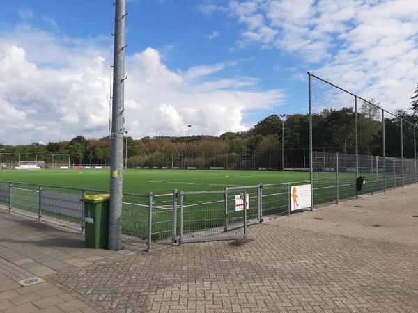 Sportpark Hoekelumse Eng veld 6-Fortissimo veld 1 - Ede GLD