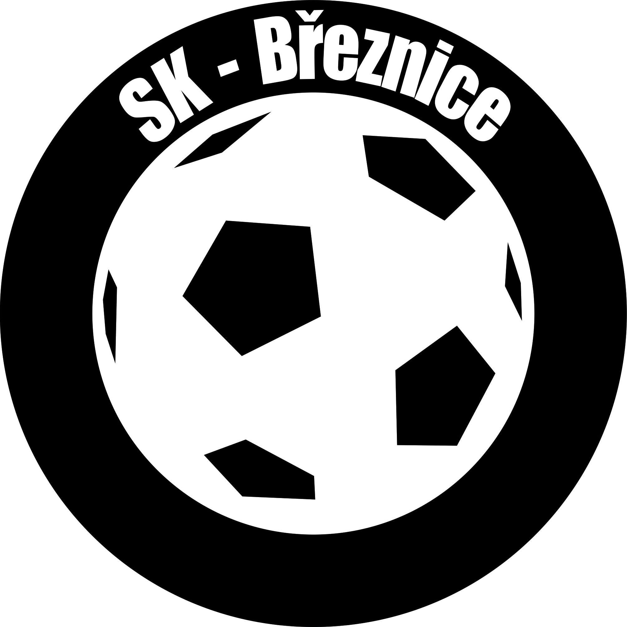 Wappen SK Březnice