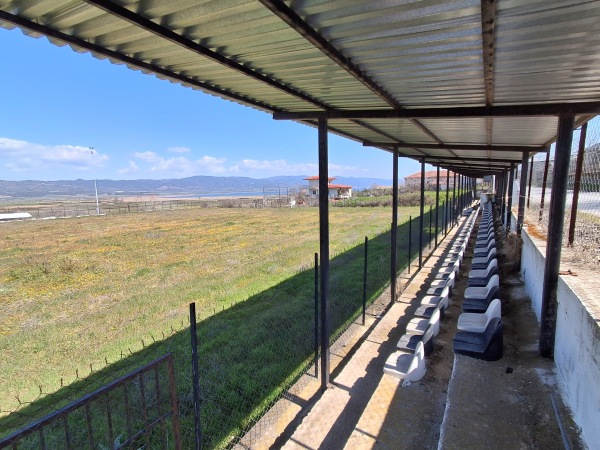 Gipedo Thyella Peristerona - Peristerona