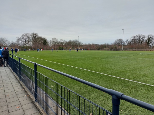 Sportpark De Bijenkamp veld 3 - Eibergen