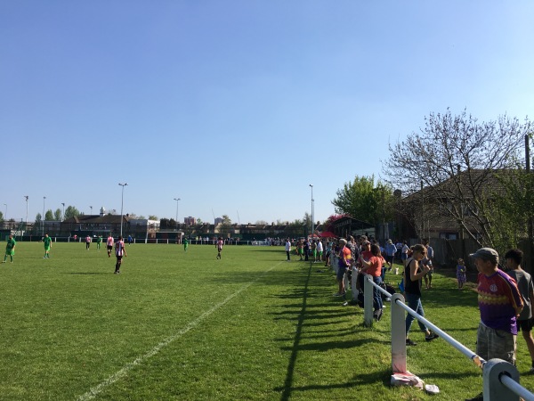 The Stray Dog - London-Higham Hill, Greater London