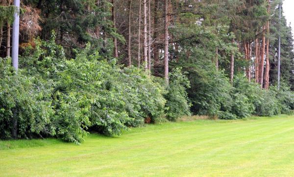 Sportplatz Ahmsen - Lähden-Ahmsen