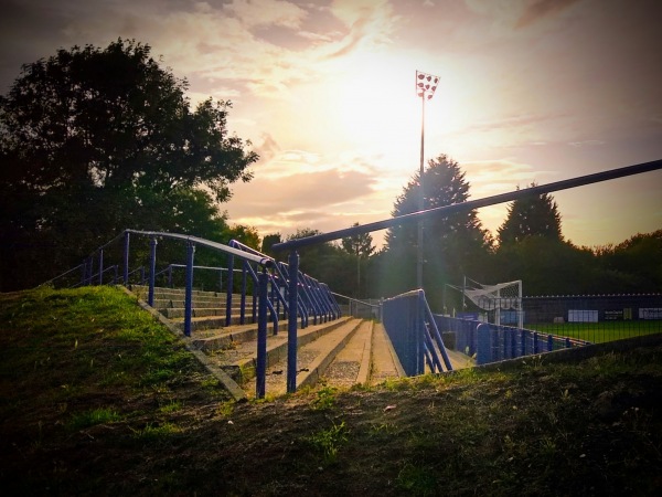 The Grove - Halesowen, West Midlands