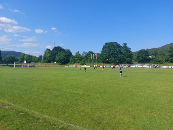 Sportanlage Freudenberg - Freudenberg/Main