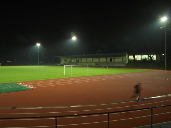 Bezirkssportanlage Bäuminghausstraße/Stadion - Essen/Ruhr-Altenessen