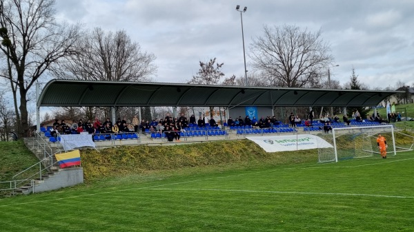 Stadion w Rogów - Rogów