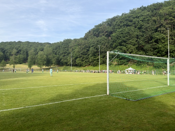 Sportplatz an der Sulzbachhalle - Kottweiler-Schwanden