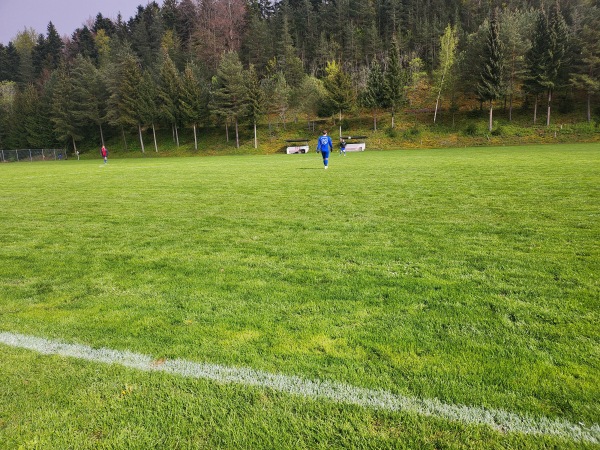 Sportgelände Hochwasen - Nagold-Emmingen