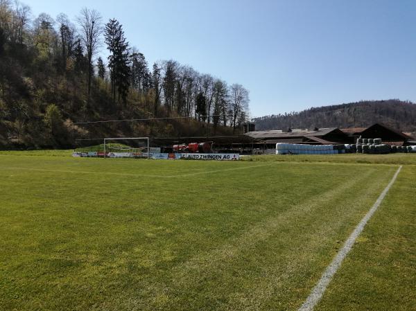 Sportplatz Eichhölzli - Zwingen