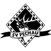Wappen SV Pechau 1990