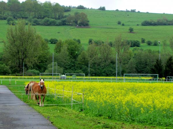 Sportplatz Räsaer Tor - Unterbreizbach-Pferdsdorf