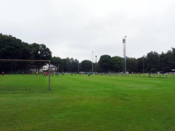 Allerkampfbahn B-Platz - Hodenhagen