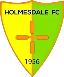 Wappen Holmesdale FC