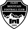 Wappen Halkyn & Flint Mountain FC