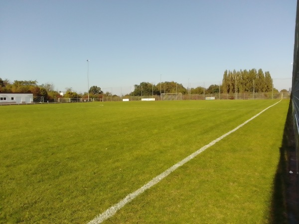 Sportpark Husterhöhe MTV-Platz - Pirmasens