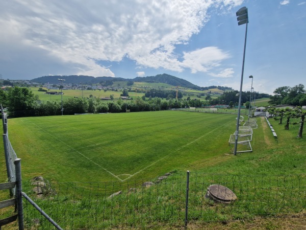 Sportplatz Erlenmoos Platz 2 - Wollerau