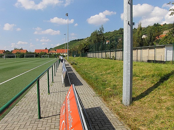 Weinbergstadion - Radebeul