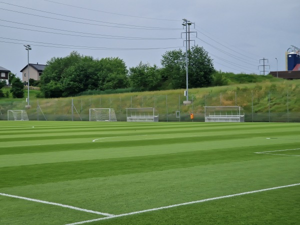 Sportanlage Grüntal Platz 3 - Wittenbach