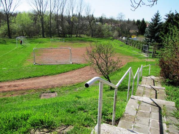 Heinz-Richard-Lohholz-Arena - Schraplau