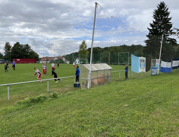 Sportplatz Auerbach - Zwickau-Auerbach