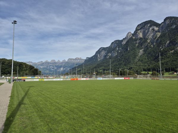 Sportplatz Tiergarten Platz 2 - Mels