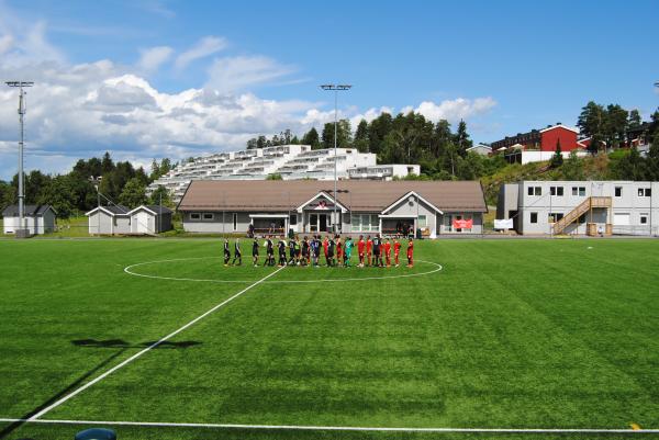 Lusetjern kunstgress - Oslo